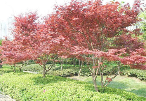 �t���Ӽ޽Ӳ�λ֦�~Ҫ���r��ȥ