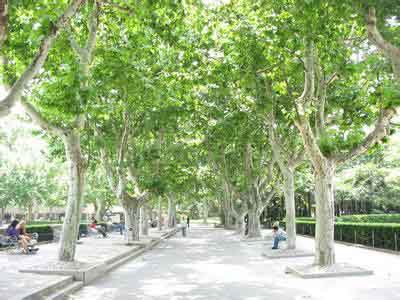 �t��ժ�ā����M�Ȱl(f��)���ӷ�֦���ٳ���