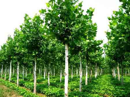 �����t��ÿ��Ҫ��2��͸ˮ